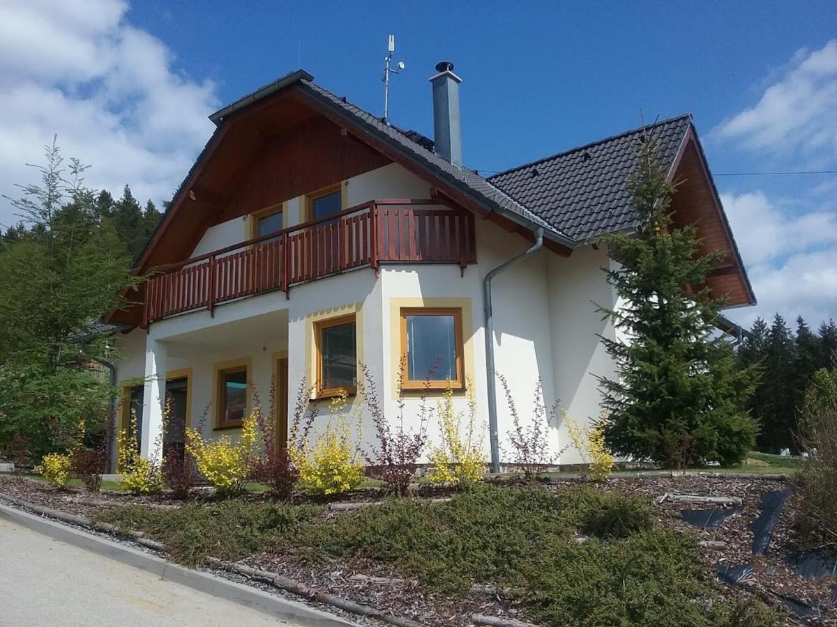 Villapark Lipno Dreams - Pet Friendly Lipno nad Vltavou Exterior photo